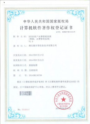 湖北象牙塔科技有限公司 襄阳网络与软件开发领域的资质荣誉典范